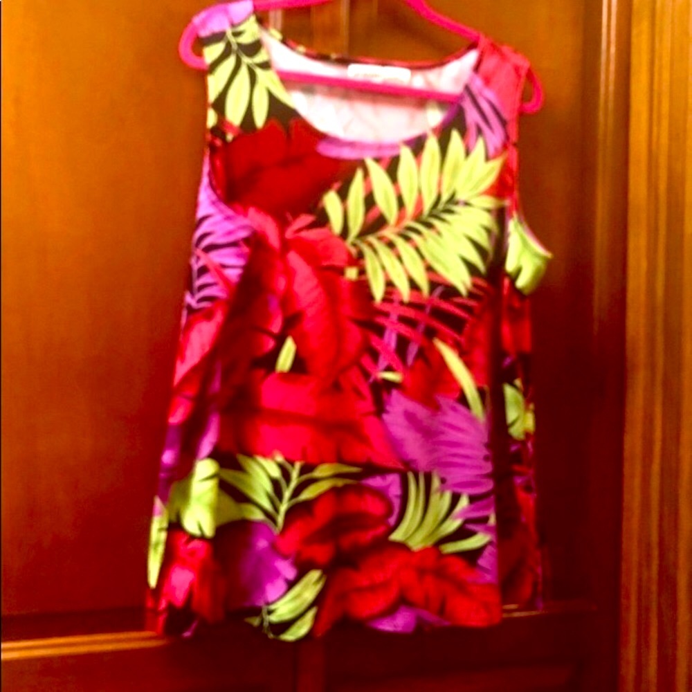 Liz Baker sleeveless top. 1x. Plus size.